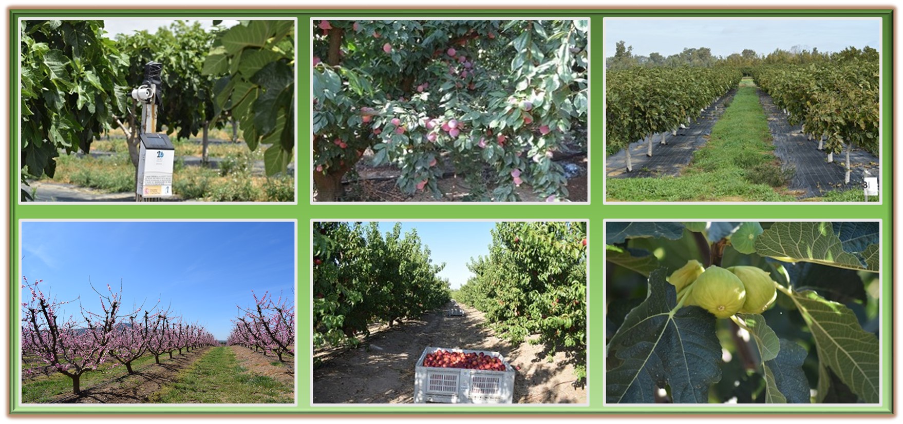 Total%20fotos Total%20fotos